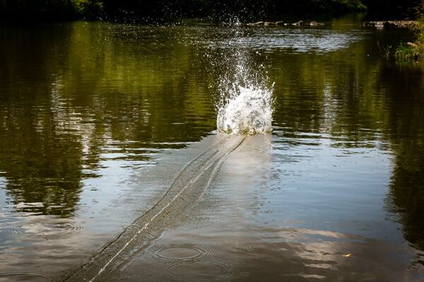 Magnet fishing pri rieke Jizery. Magnet fishing pri rieke Jizery
